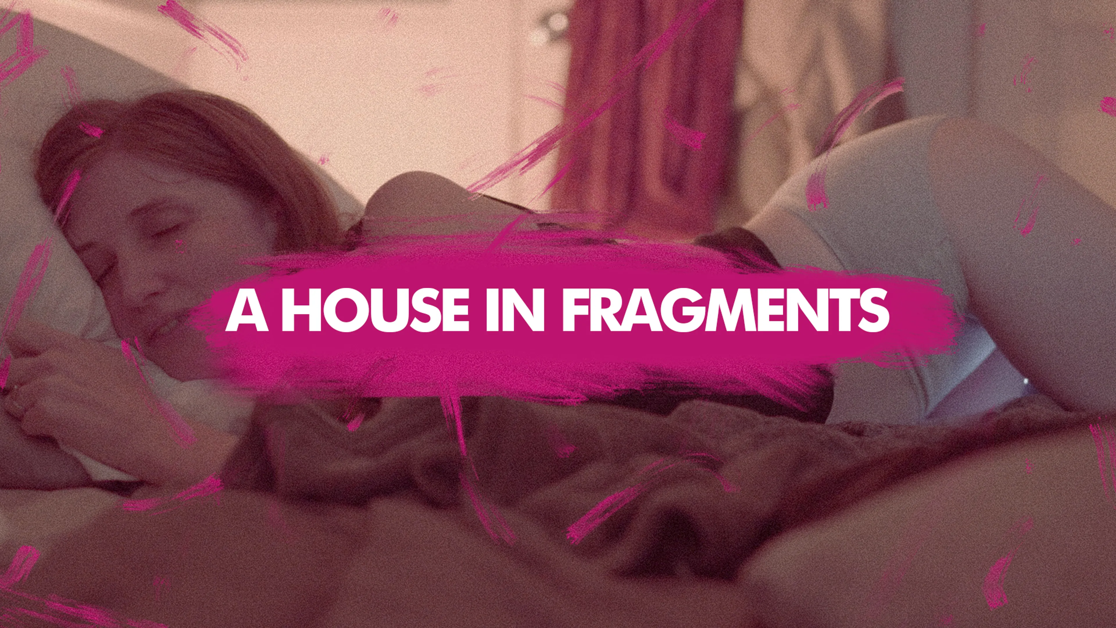 A House In Fragments poster